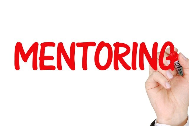 Getting Business Mentoring For Health Businesses