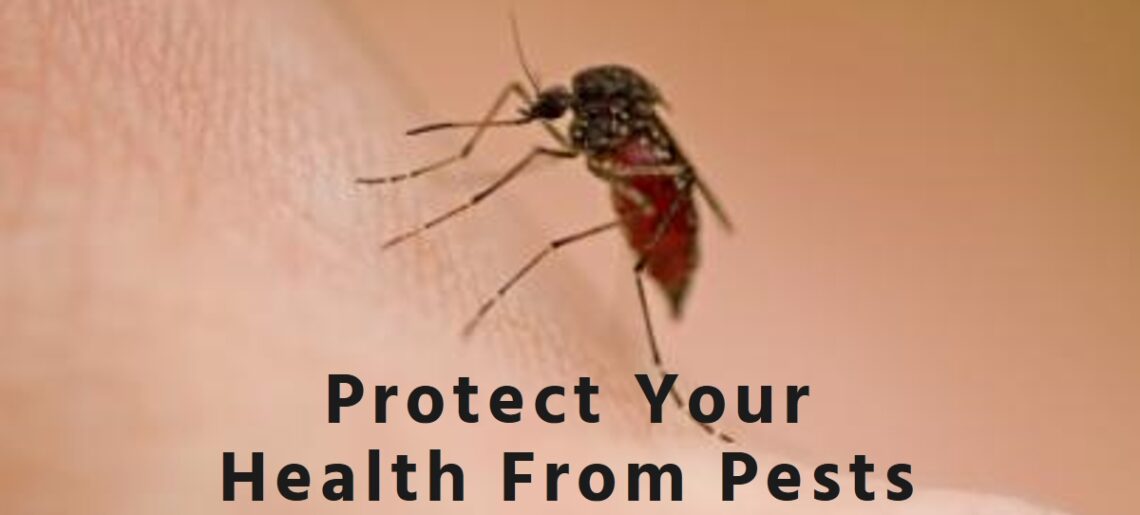 Top 5 Health Threatening Pests You Should Be Aware Of
