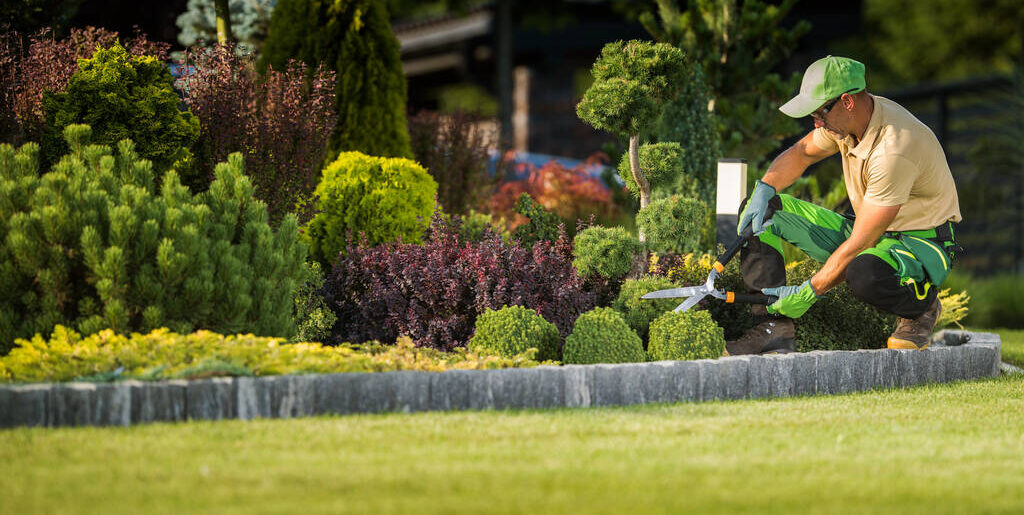The Green Prescription: How Commercial Landscaping Contributes to Employee Well-being